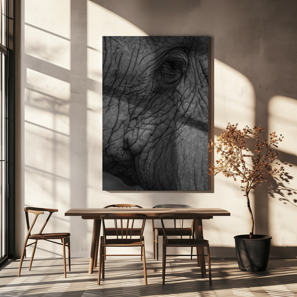 Elephant's Wisdom | Canvas