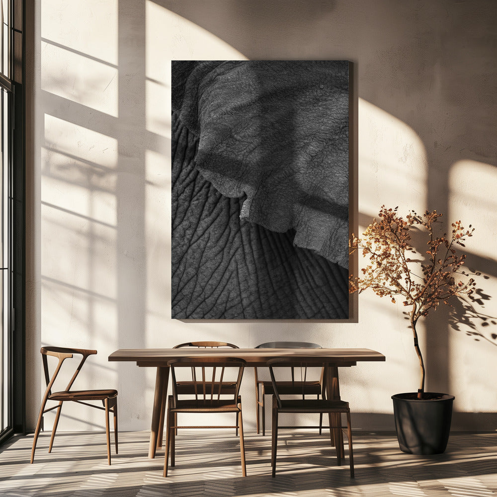 Wrinkles of Time | Canvas