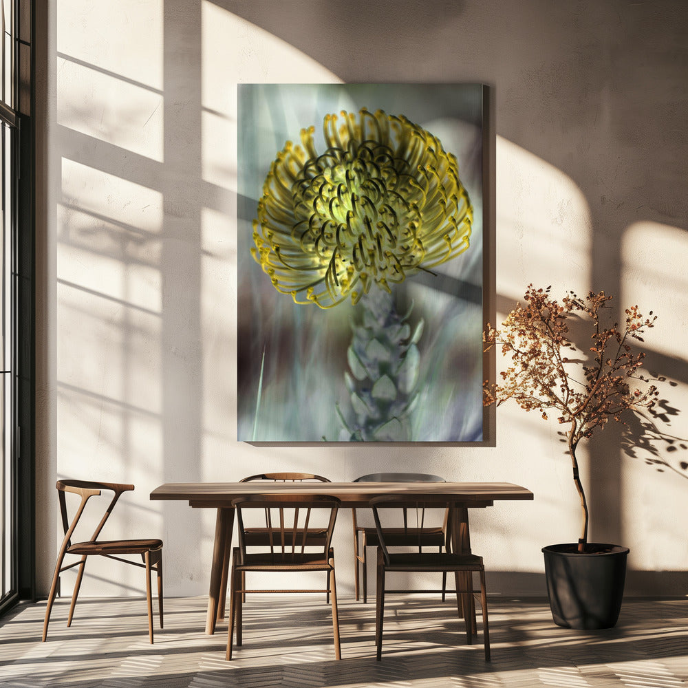 Goldene Blüte | Leinwand