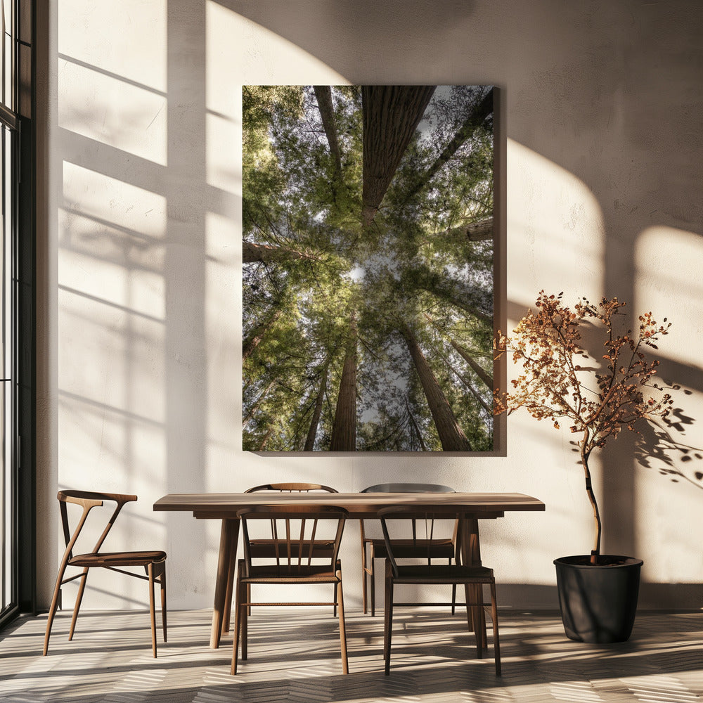 Schönheit der Natur | Leinwand
