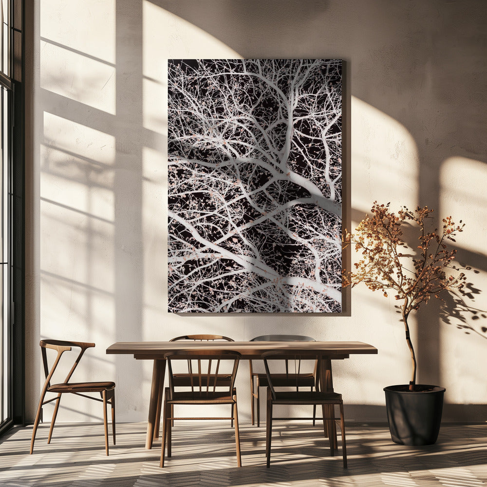 Tree Branches | Canvas