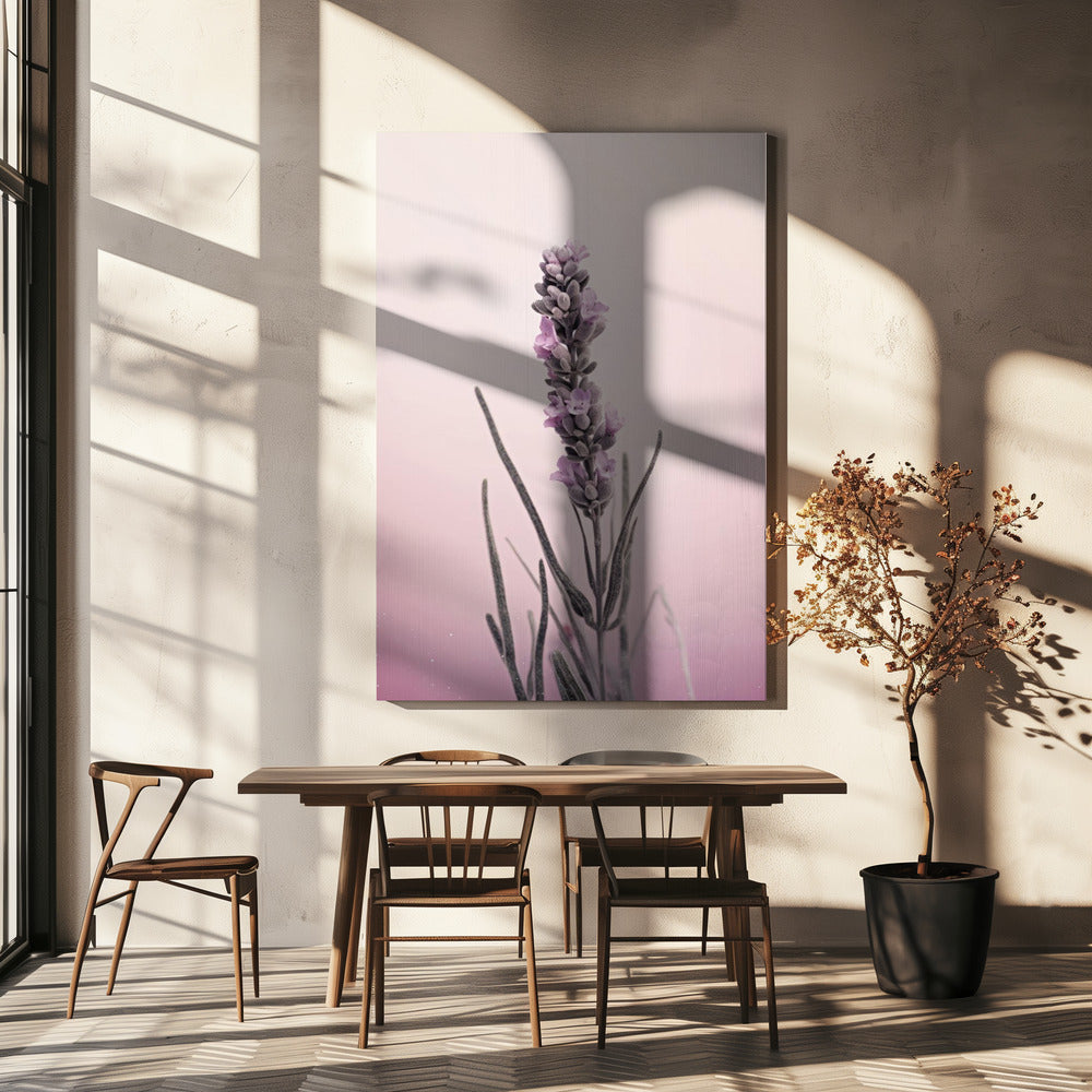 Lavendelträume | Leinwand