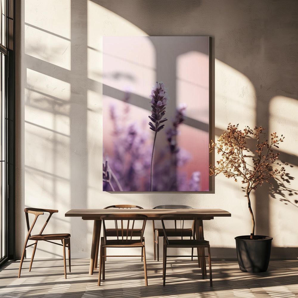 Lavendel Gelassenheit | Leinwand