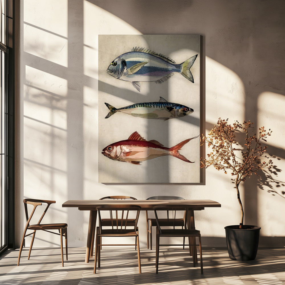 Trio of Ocean Life | Canvas