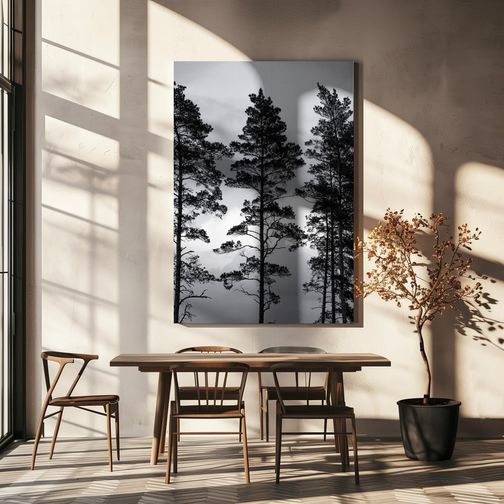 Swedish Trees | Canvas