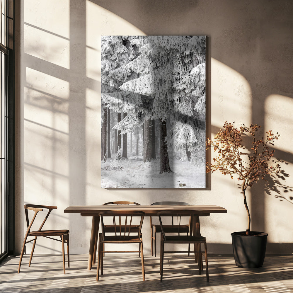 Winter Forest 2 | Canvas