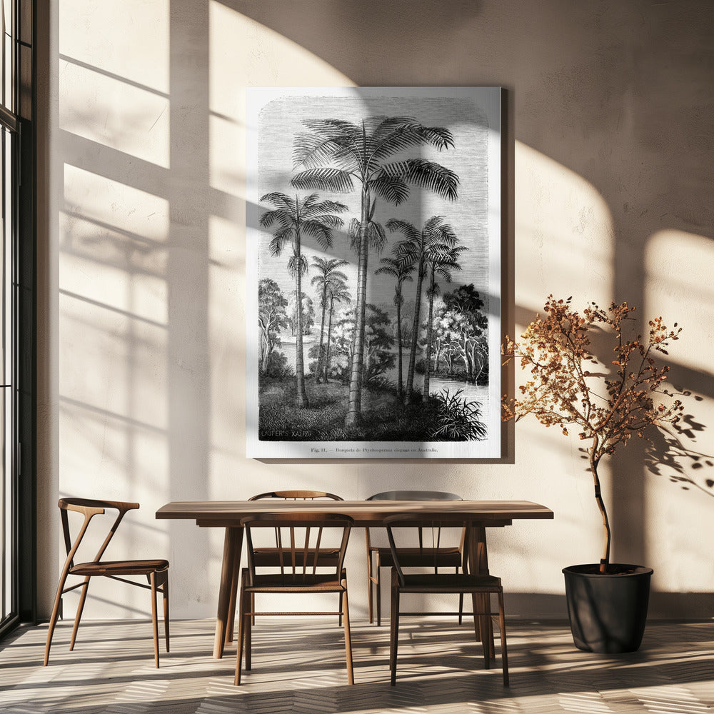 Vintage Palm Tree Drawing Ii | Canvas