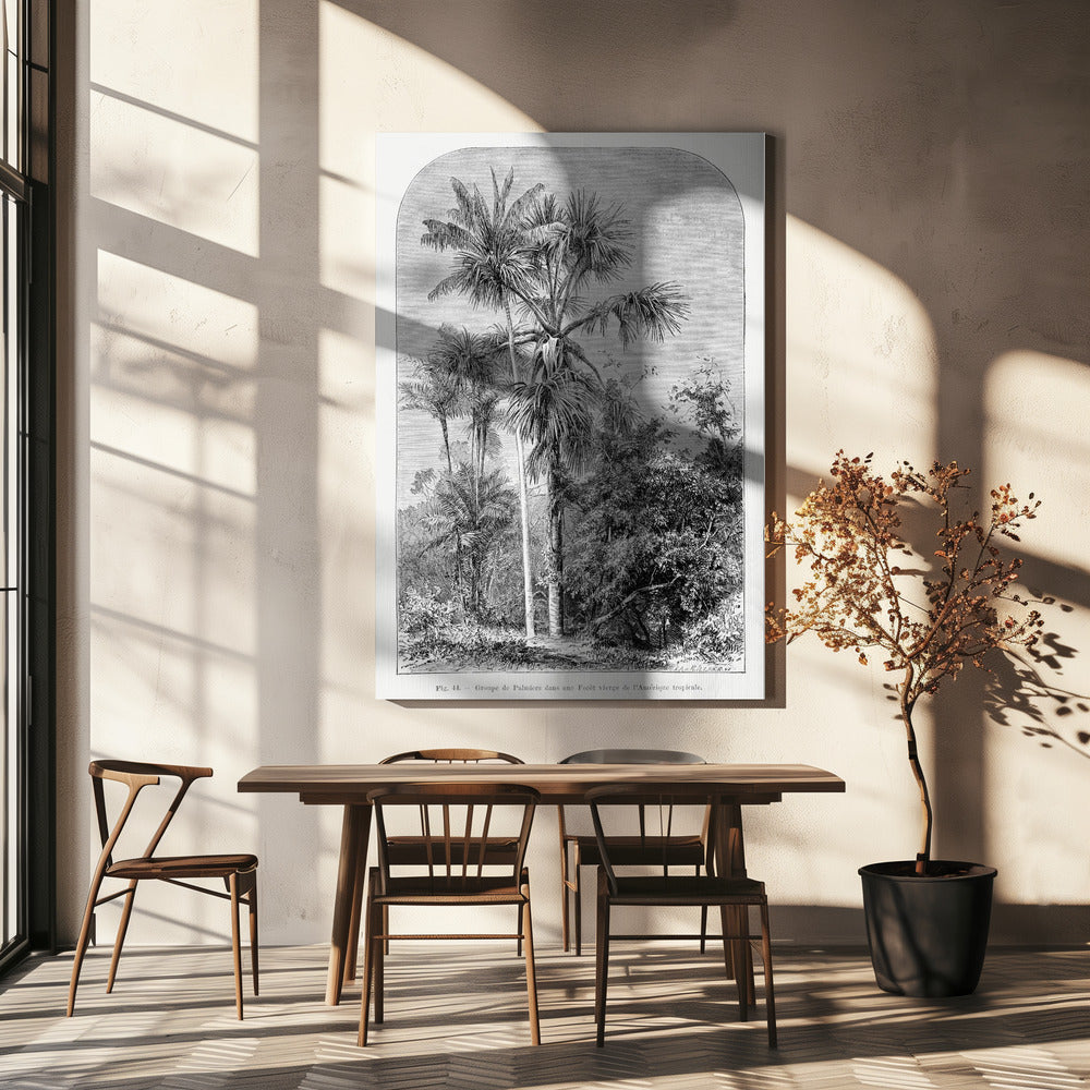 Vintage Palmenzeichnung IV | Leinwand