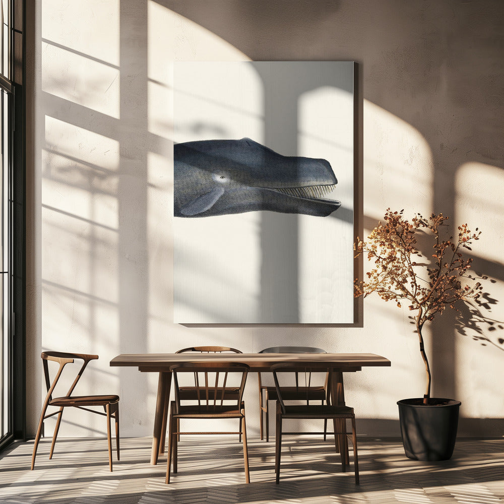 Whale I Tight Crop Handcolored Sealife Lithograph 1824 | Canvas