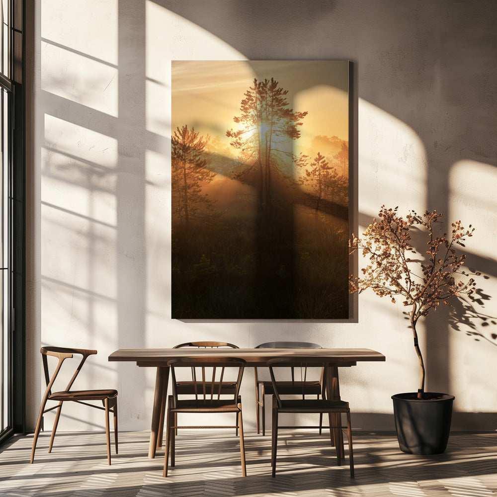 20220809 Dsf8009 Hdr 1 | Leinwand