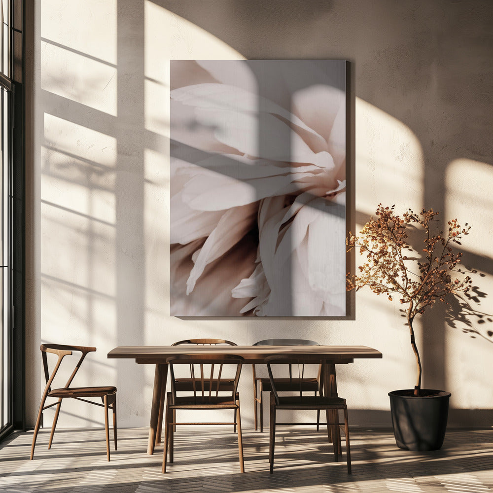 Peony | Canvas