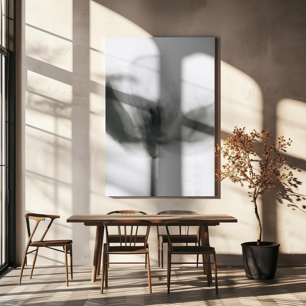 Mono Tulip | Canvas