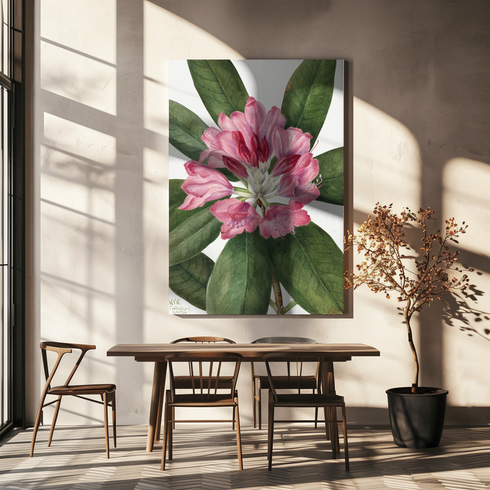 Mountain Rose Bay (1932) | Canvas