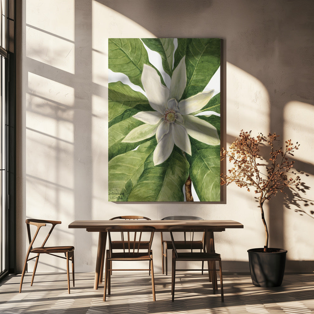 Umbrella Tree (1932) | Canvas