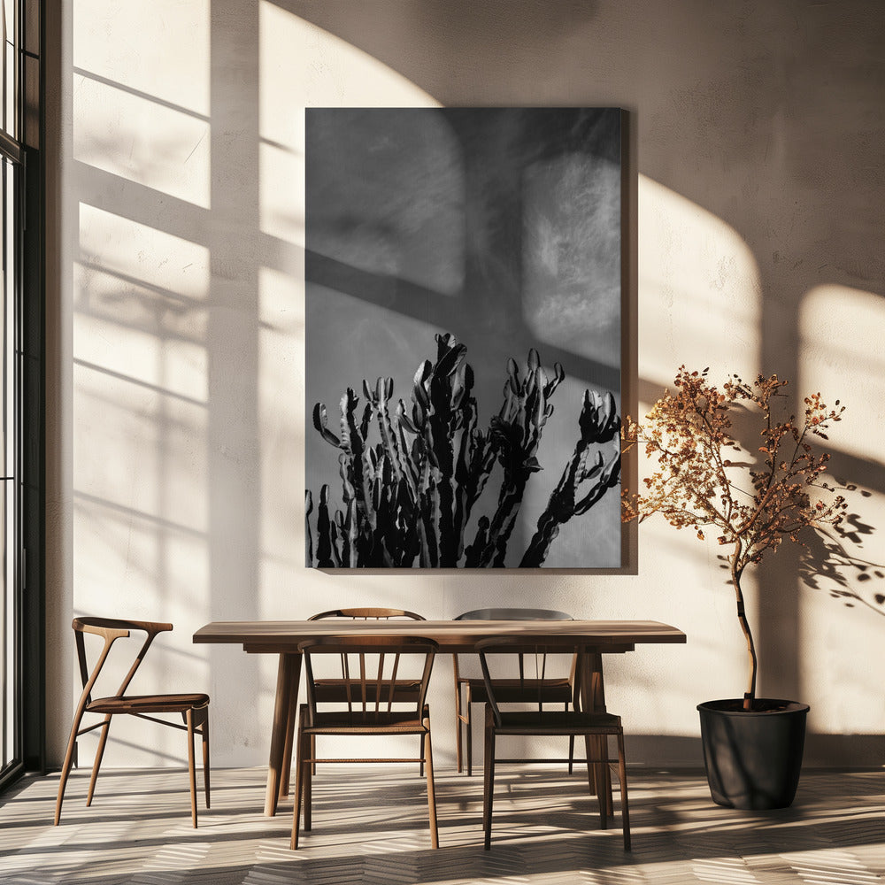 Monochromer Kaktushimmel | Leinwand
