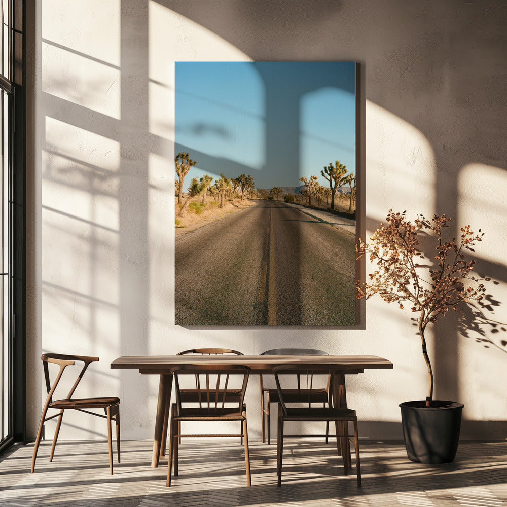 Joshua Tree Road II | Leinwand