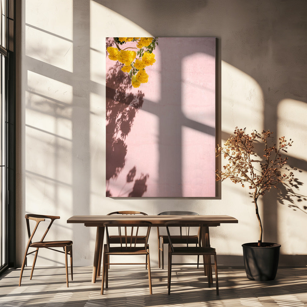 Gelb und Pink | Oaxaca, Mexiko | Leinwand