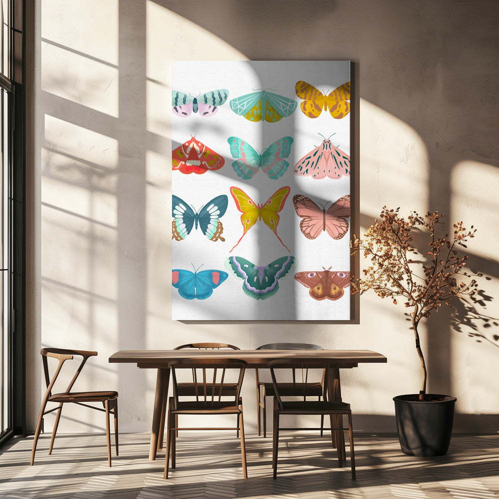 Schmetterling | Leinwand