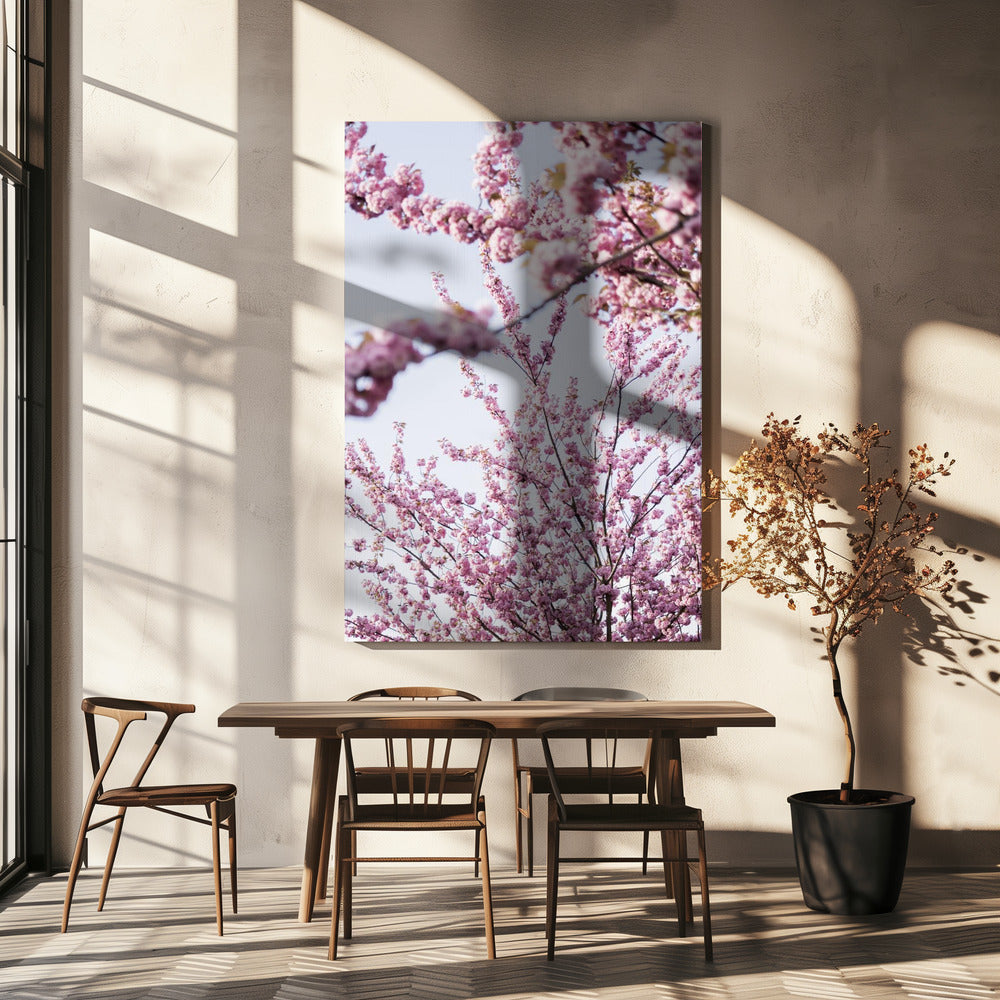 Colorful Spring 11 | Canvas