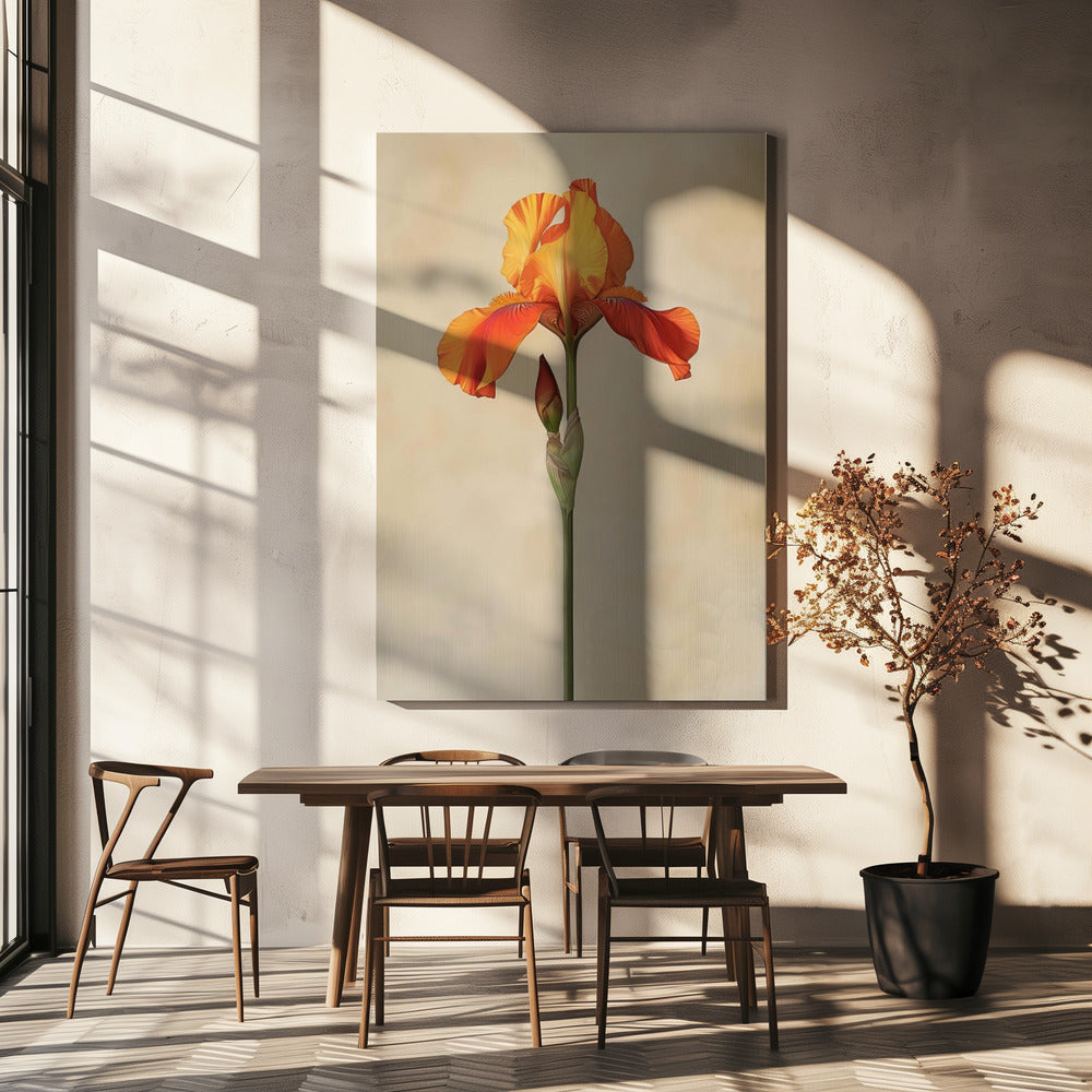 Poster Leinwand Sng Iris 34 | Leinwand