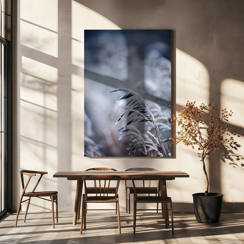 Frostiger Morgen 5 | Leinwand
