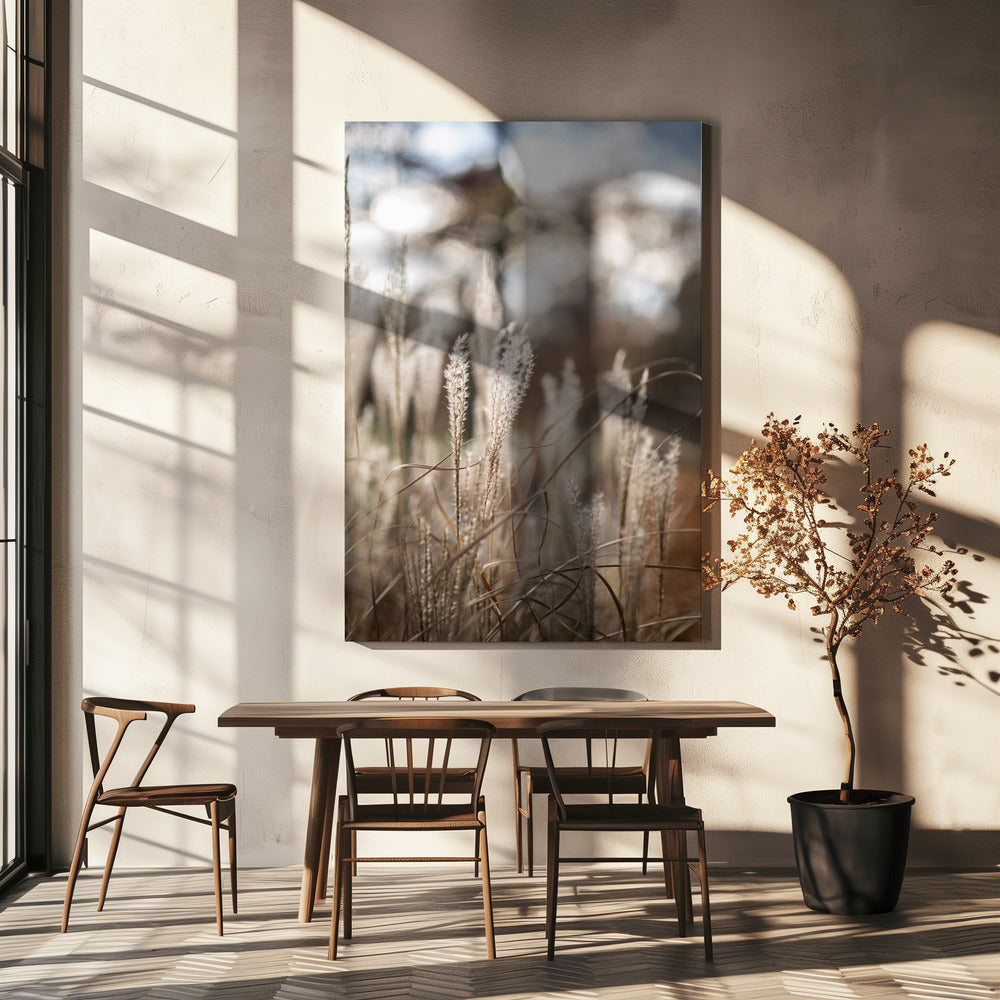 Grass 19 | Canvas