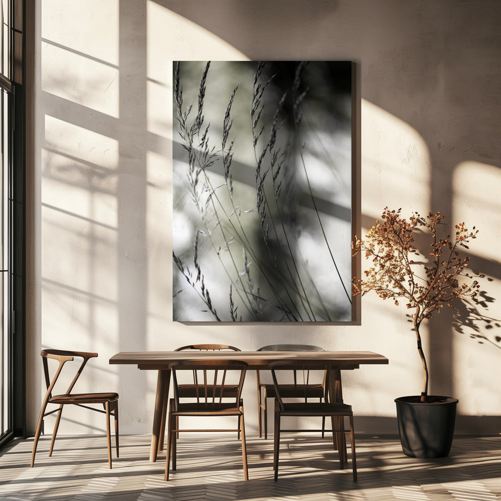 Sommergras 1 | Leinwand
