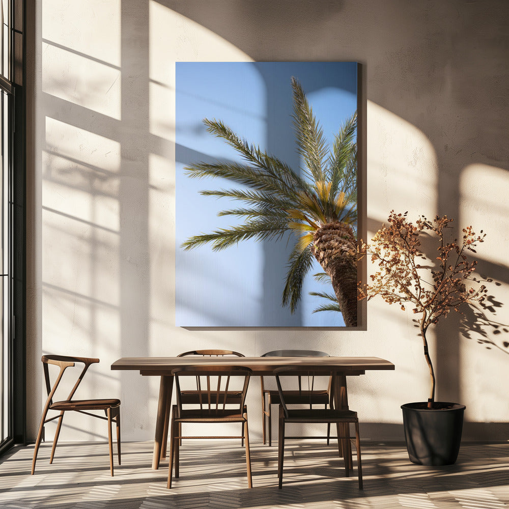 Vejer de La Frontera Palme | Leinwand