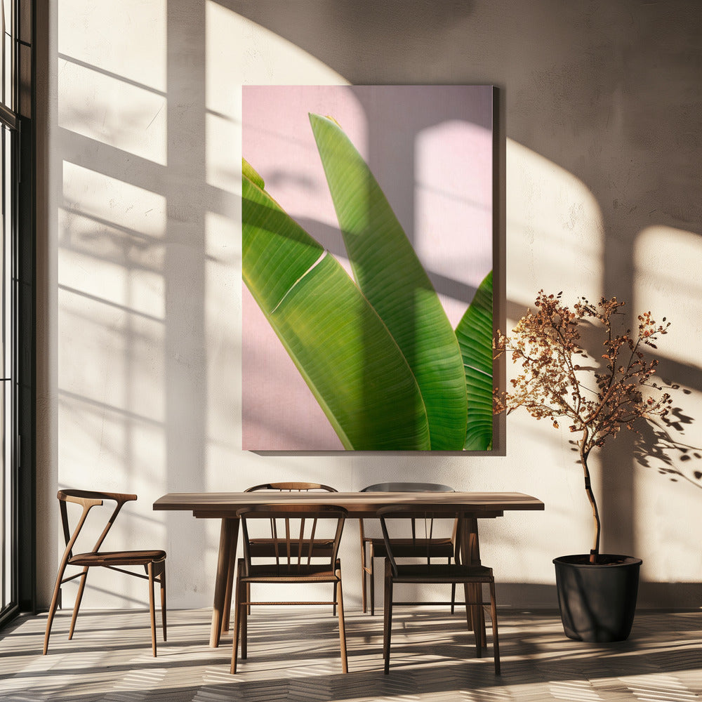 Merida Grün auf Pink | Leinwand