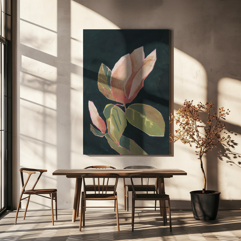 Magnolie auf dunklem Hintergrund | Leinwand