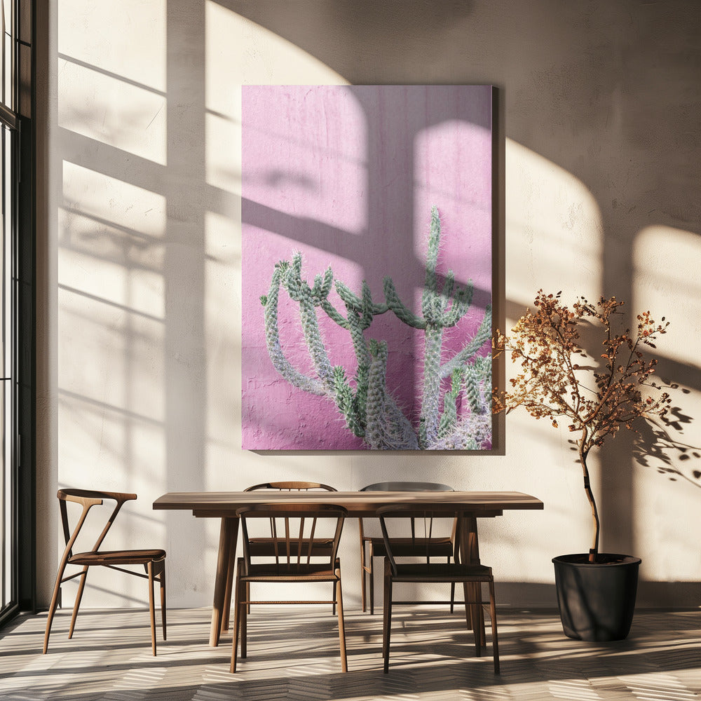 Kaktus auf Rosa | Leinwand