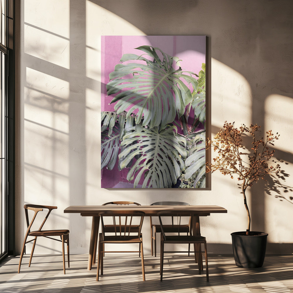 Monstera-Blatt La Muralla | Leinwand