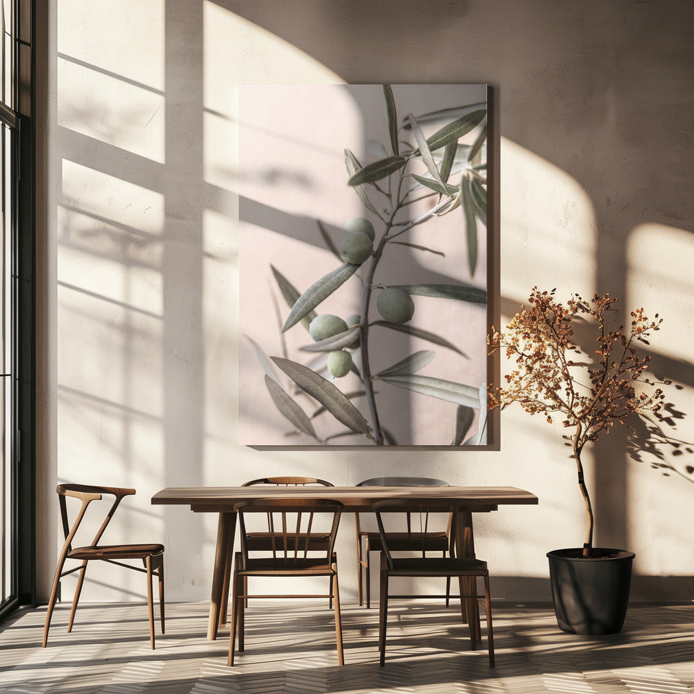 Olives | Canvas