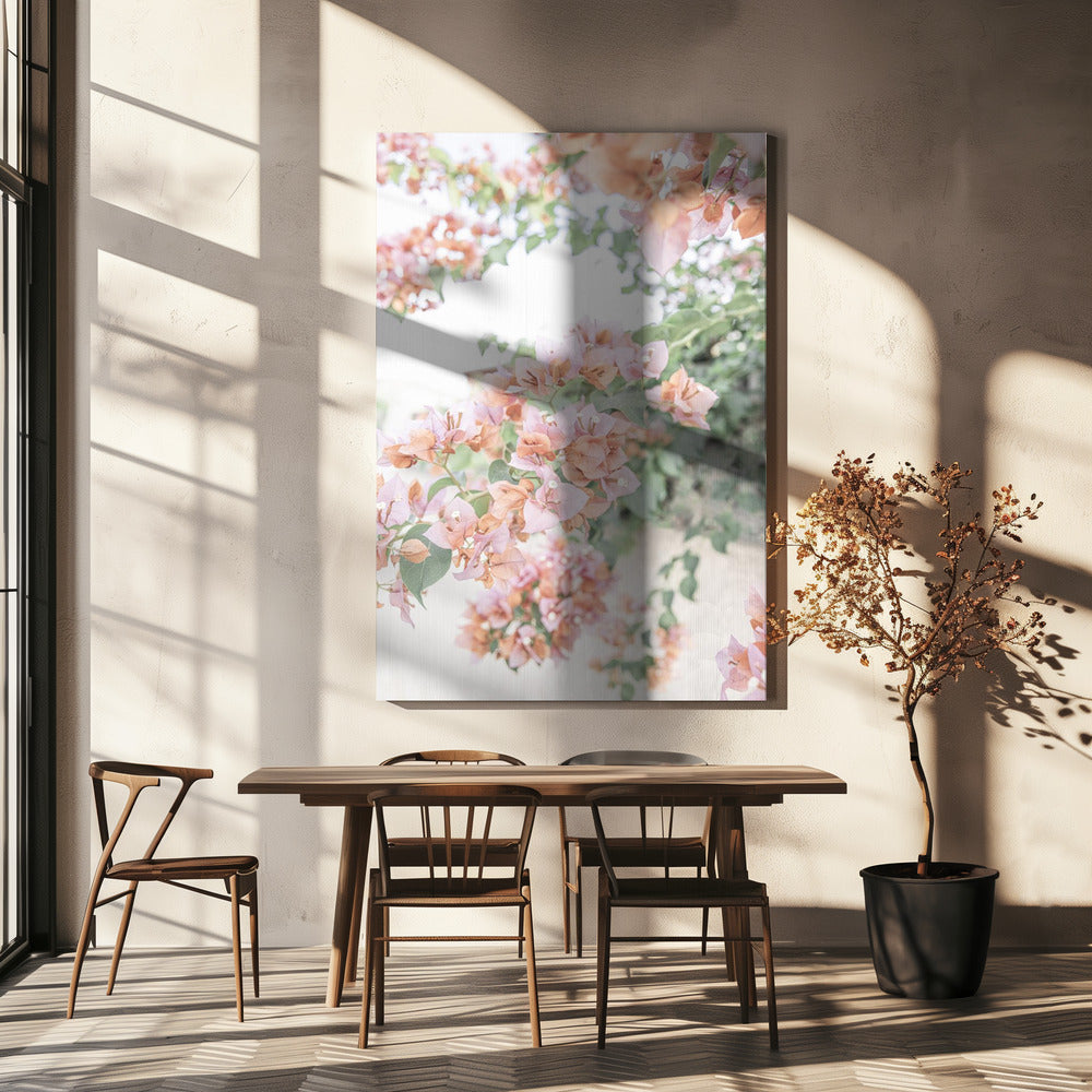 Pfirsichfarbene Bougainvillea | Leinwand