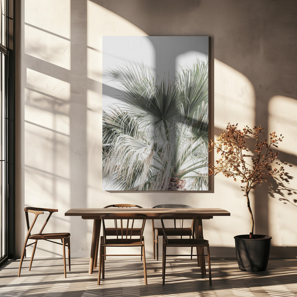 Palmblatt | Leinwand