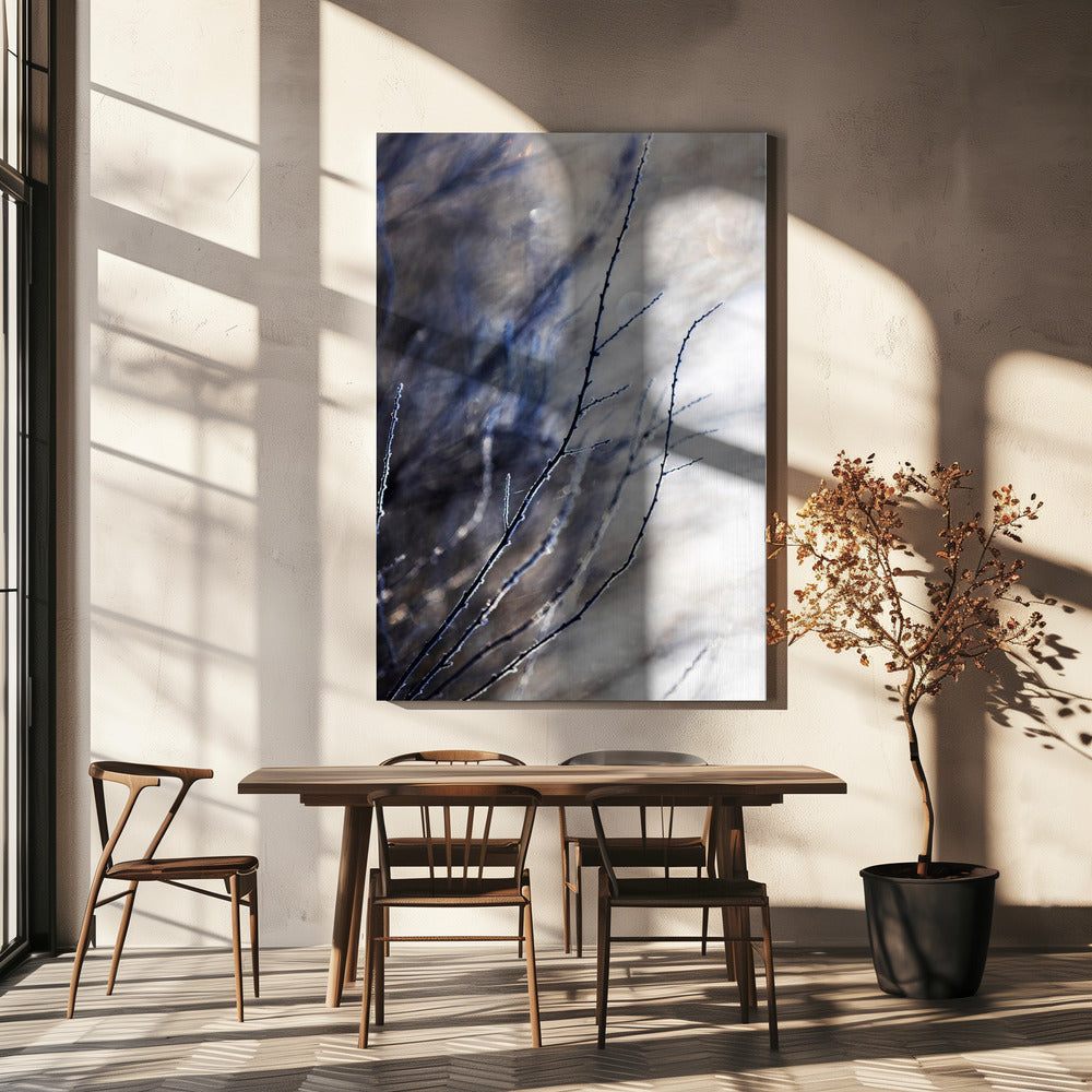 A Winter Morning 7 018a4832 | Canvas