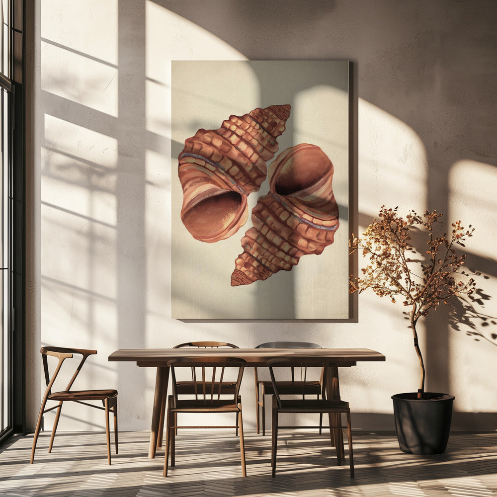 Muschel Vintage | Leinwand