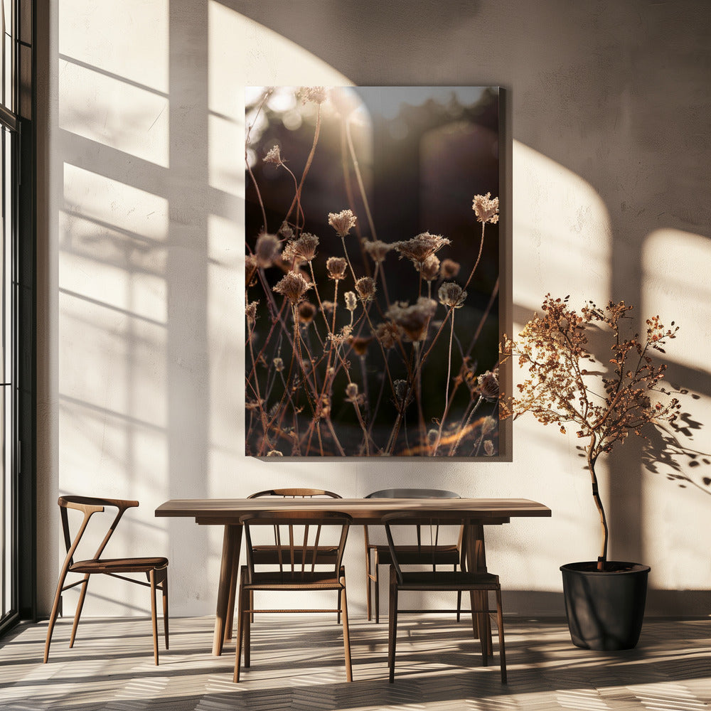 Warmes Winterlicht 2 | Leinwand