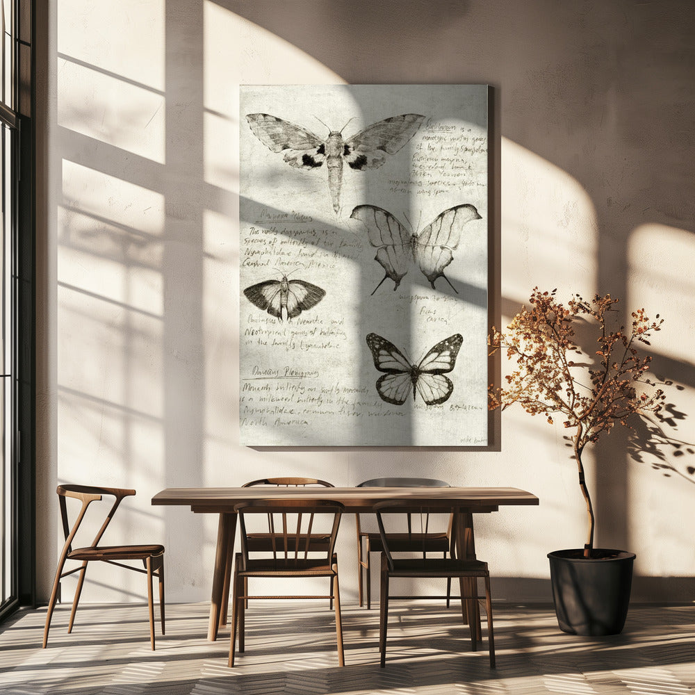 Schmetterlingsillustrationen | Leinwand
