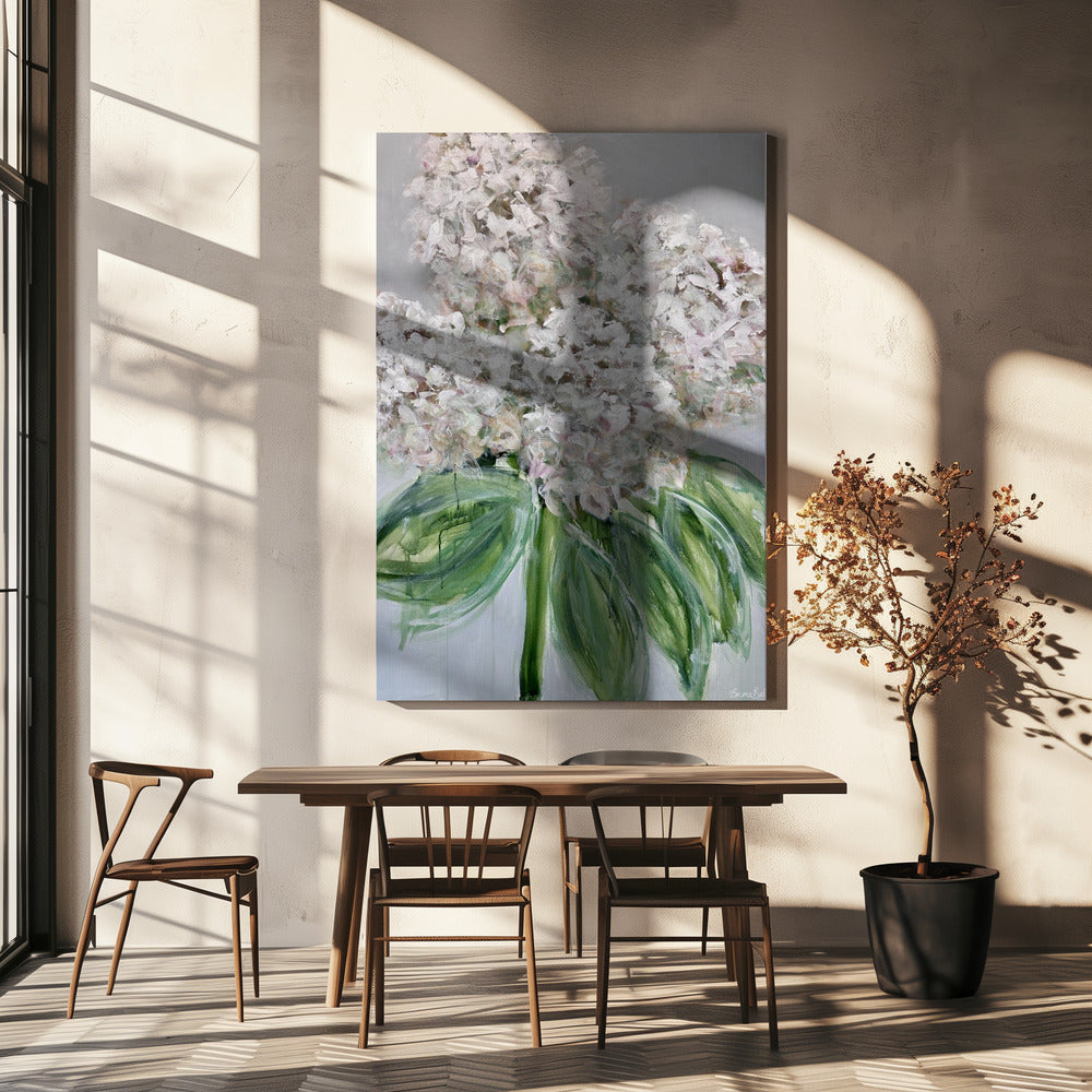 Weiße Hortensienblüte | Leinwand