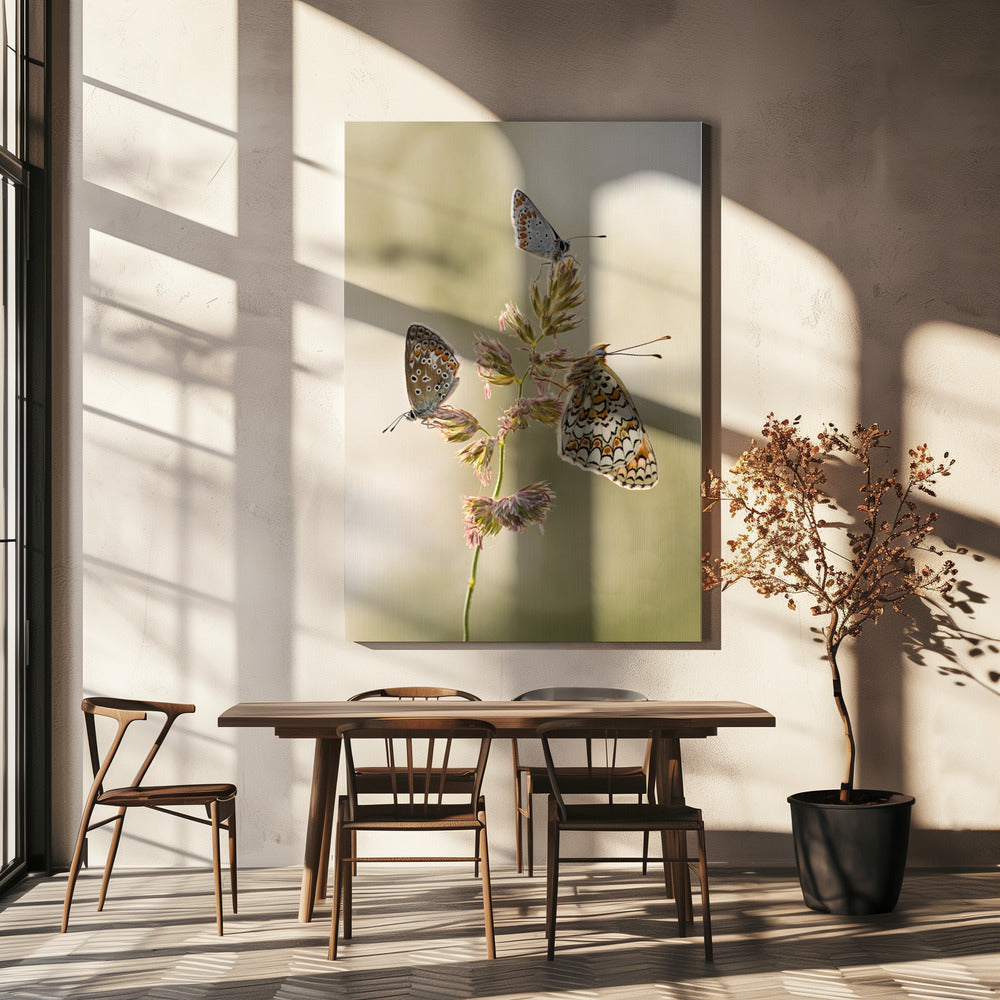Eine Art Schmelztiegel | Leinwand