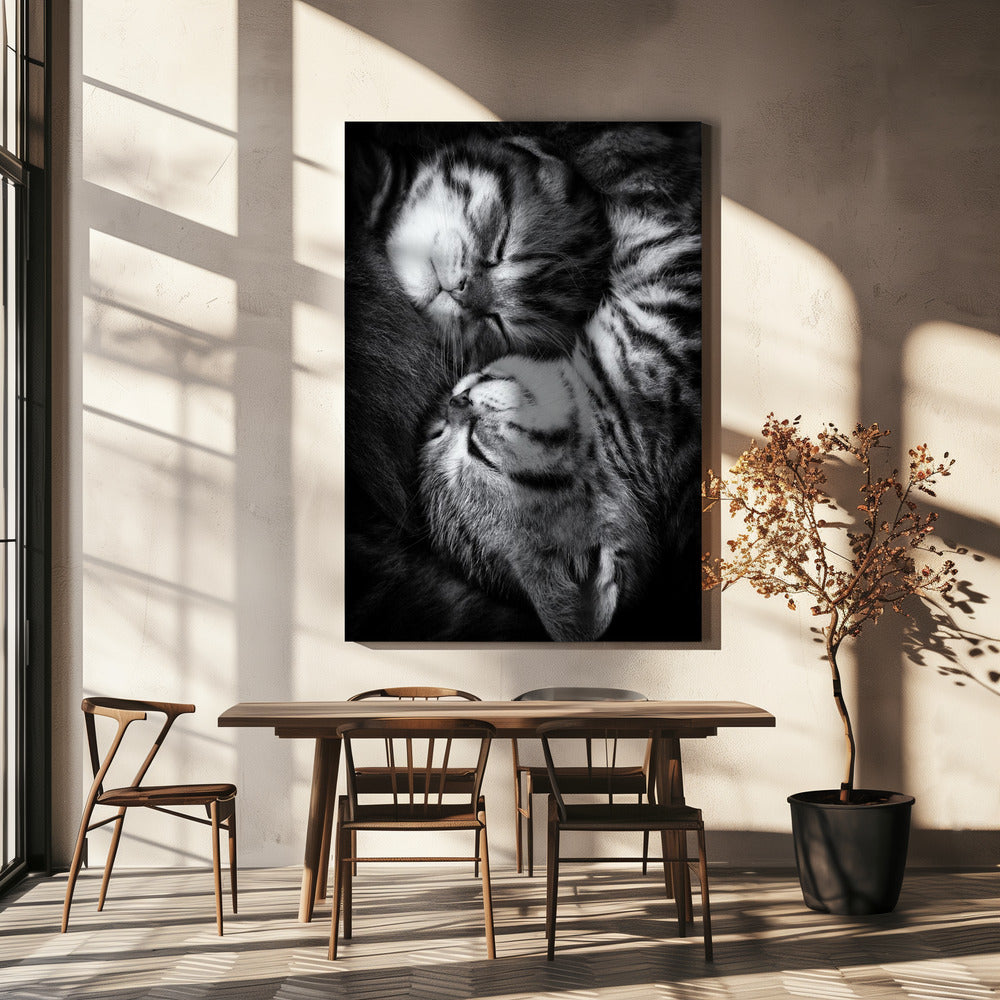 Yin and Yang | Canvas