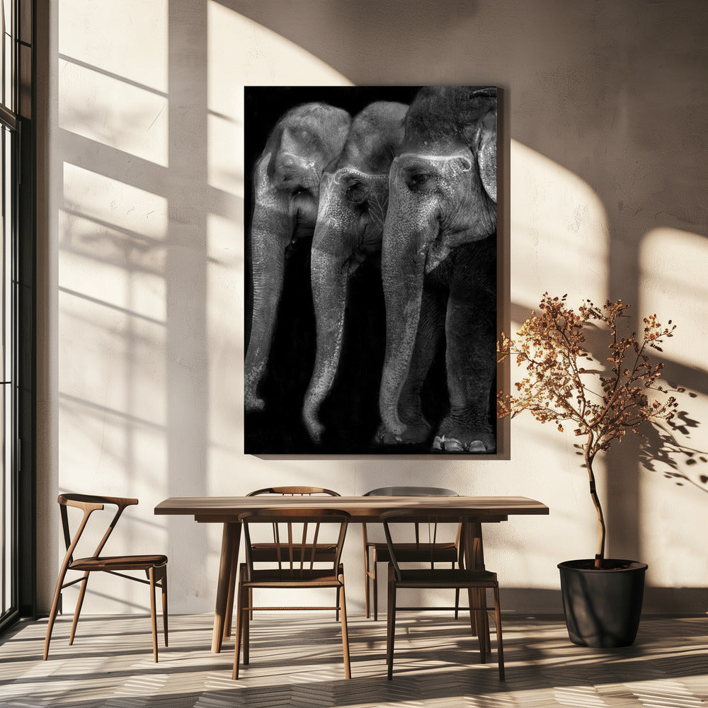 Das große Meisterwerk der Natur, ein Elefant; das einzige harmlose große Ding ... | Leinwand