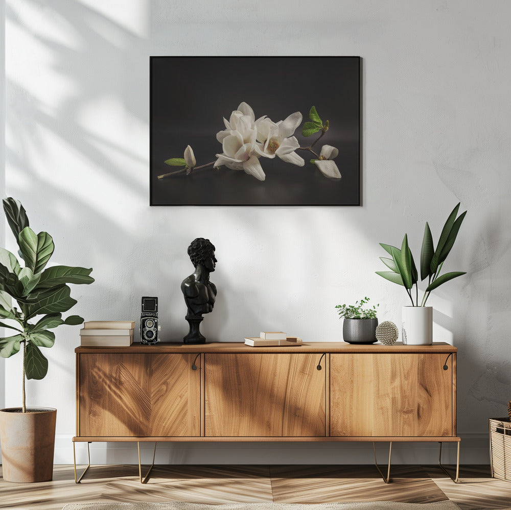 Magnolie | Poster