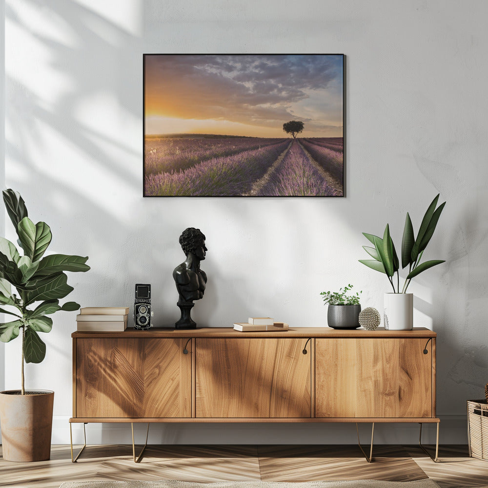 DESTINATION LAVENDEL | Poster