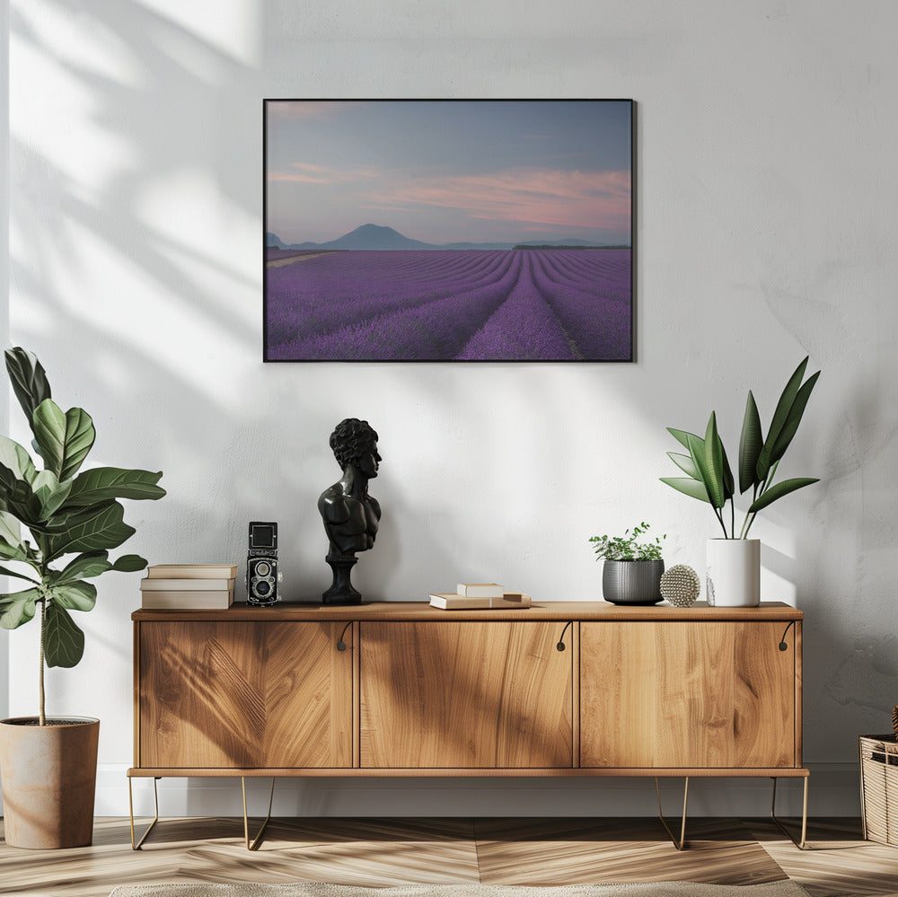 Lavendelfeld | Poster