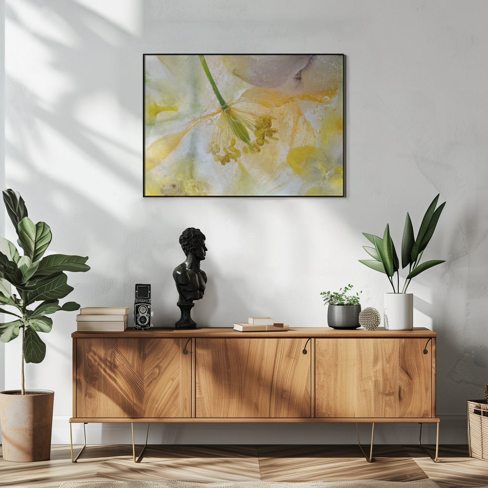 Papaver Ice | Poster
