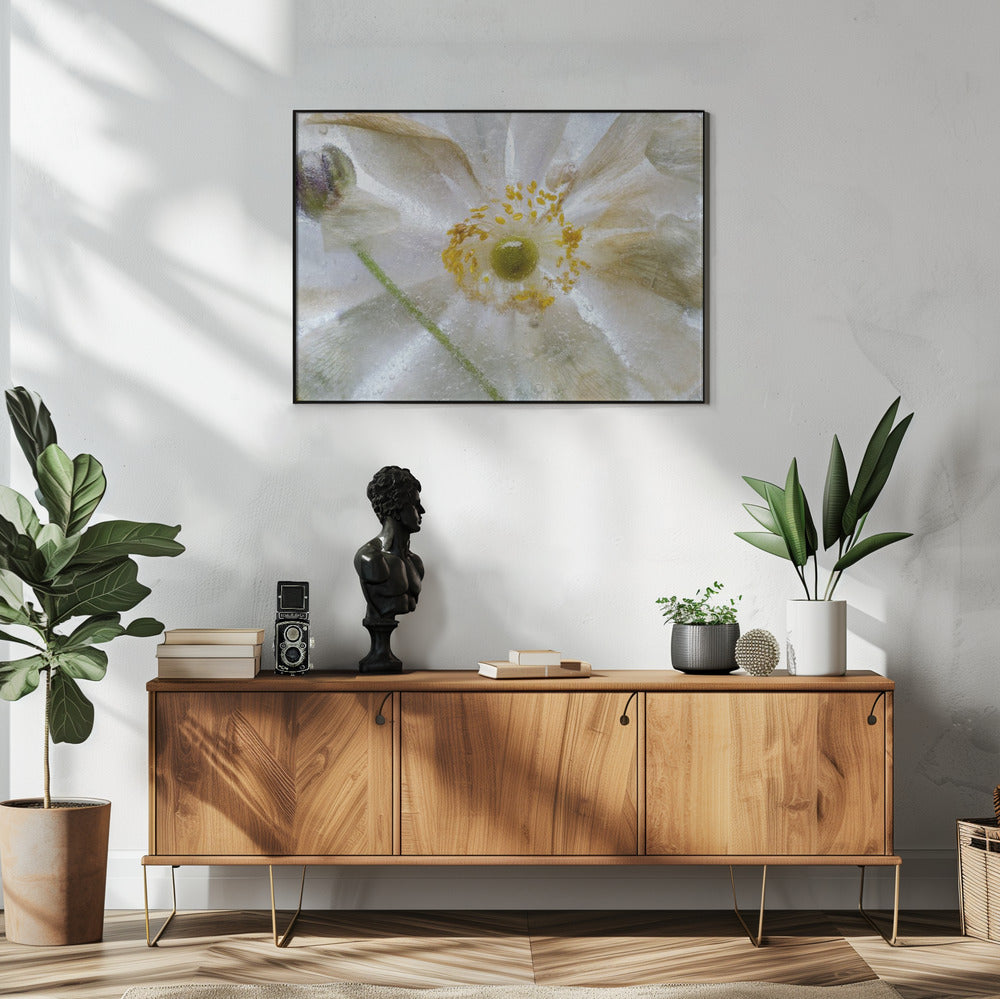 Floral freeze | Poster