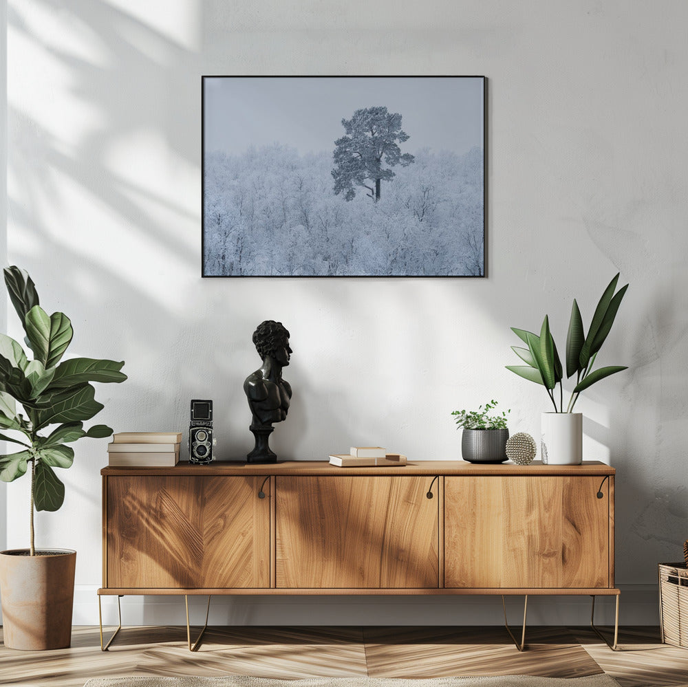 Erster Schnee | Poster