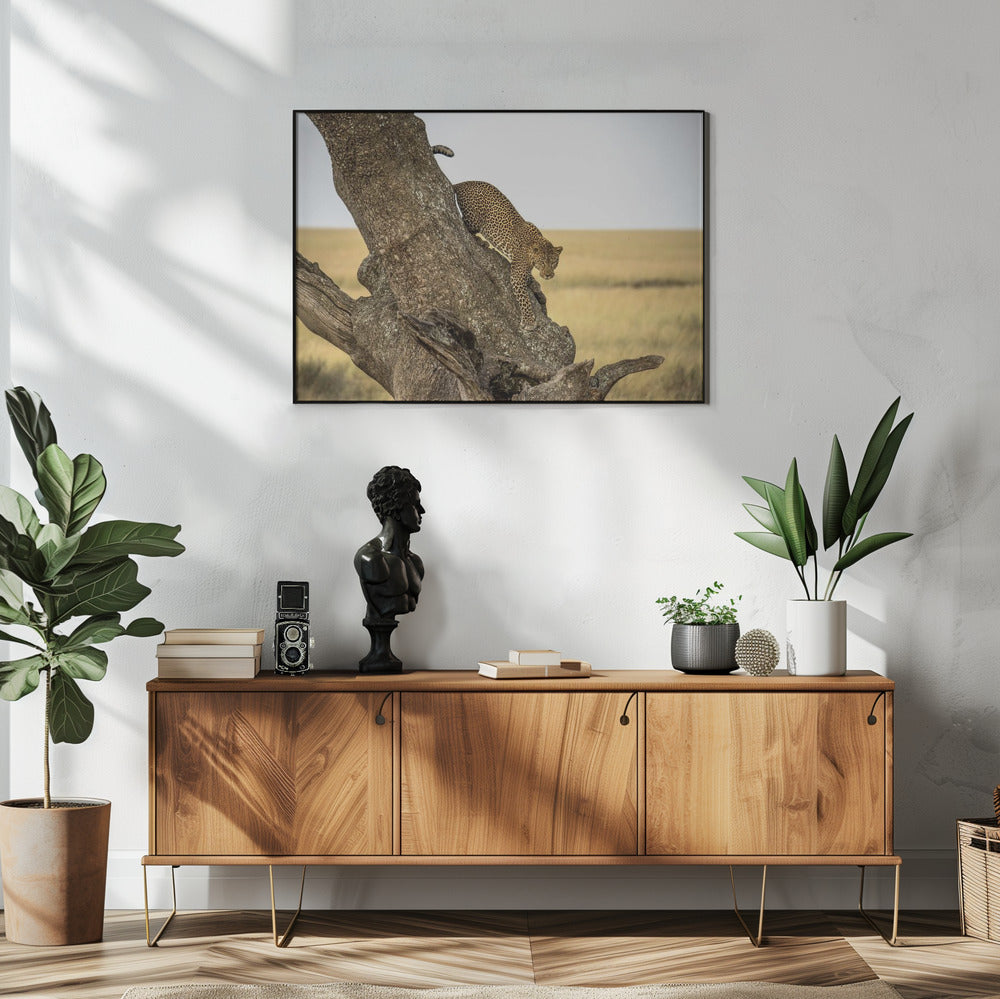 Leopard – Serengeti, Tansania | Poster